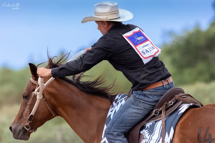Sweet Lily Navajo Grayscale Saddle Pad